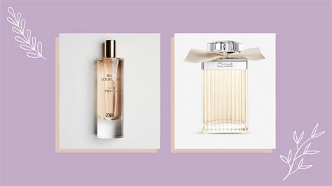 perfumes like chloe|zara perfume chloe.